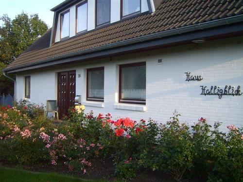 Holiday Home/Apartment - 2 persons -  - 25899 - Dagebüll