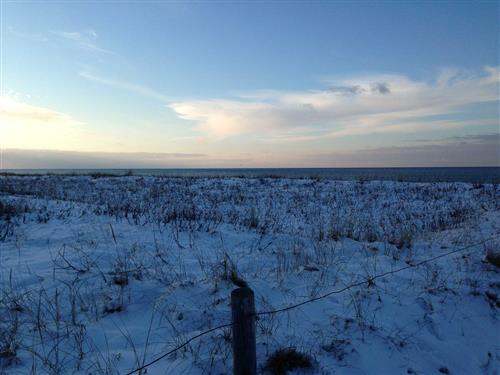 Feriehus - 7 personer -  - Alexandrastraße - 18181 - Seeheilbad Graal-Müritz