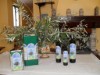Bild 10 - Aussen