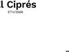 Bilde 10