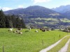 Bild 16