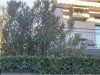 Billede 2