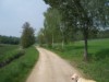 Bild 23