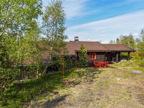 Fritidshus - 10 personer -  - Ølmøslie - Uvdal/Imingfjell - 3632 - Uvdal