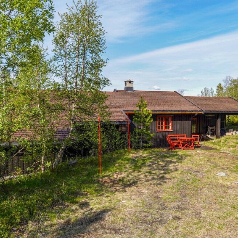 Sommerhus - 10 personer -  - Ølmøslie - Uvdal/Imingfjell - 3632 - Uvdal