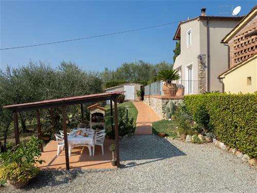 Ferienwohnung - 5 Personen -  - Capannori - 55012