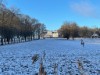 Bild 19