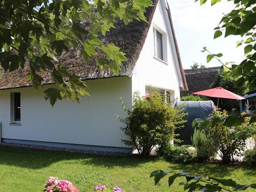 Holiday Home/Apartment - 3 persons -  - Fischländer Weg - 18347 - Wustrow