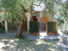 Bilde 3
