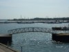 Bilde 7