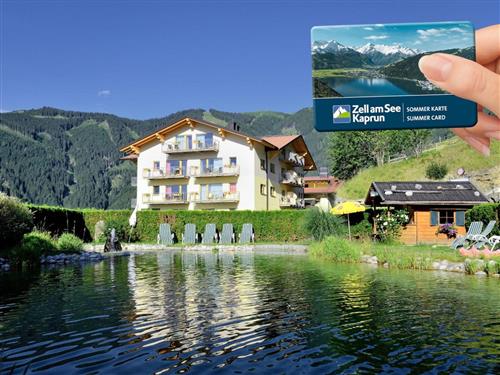 Holiday Home/Apartment - 8 persons -  - Sonnalmweg - 5700 - Zell Am See