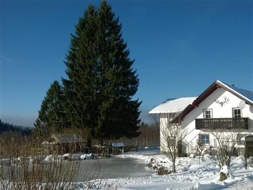 Ferieleilighet - 4 personer -  - Haidmühle - 94145