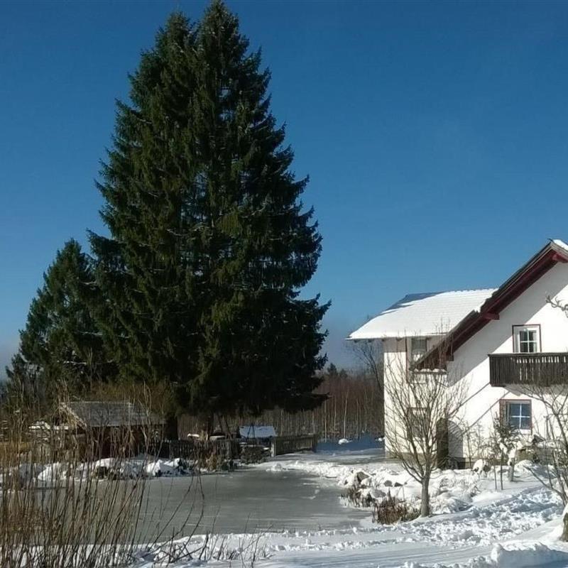 Ferielejlighed - 4 personer -  - Haidmühle - 94145