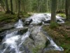 Bilde 5
