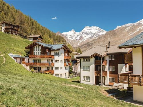 Sommerhus - 7 personer -  - Haltenstrasse - 3906 - Saas-Fee