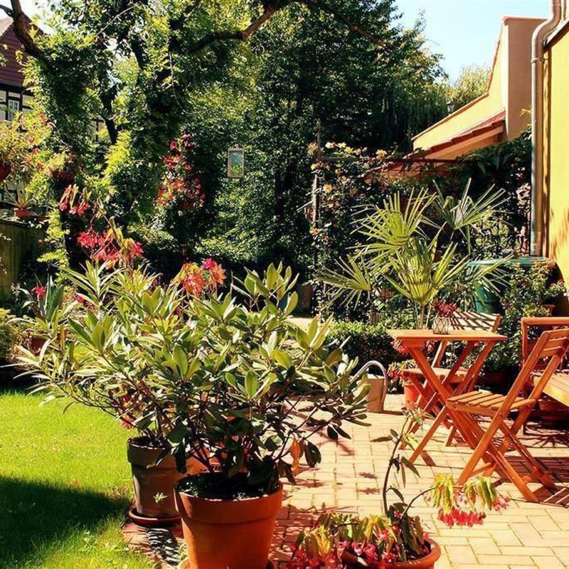 Ferielejlighed - 2 personer -  - Quedlinburg - 06484