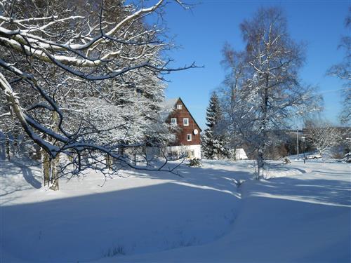 Ferieleilighet - 2 personer -  - Hauptstraße - 01773 - Altenberg