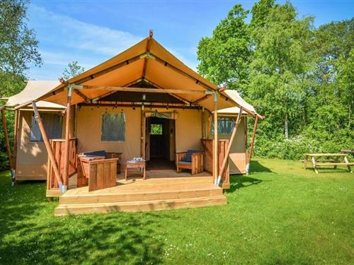 Glamping telt - 4 personer -  - 2400 - Mol