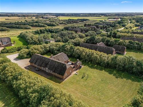 Ferienhaus - 18 Personen -  - Øvej - Husby - 6990 - Ulfborg