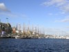 Bild 19