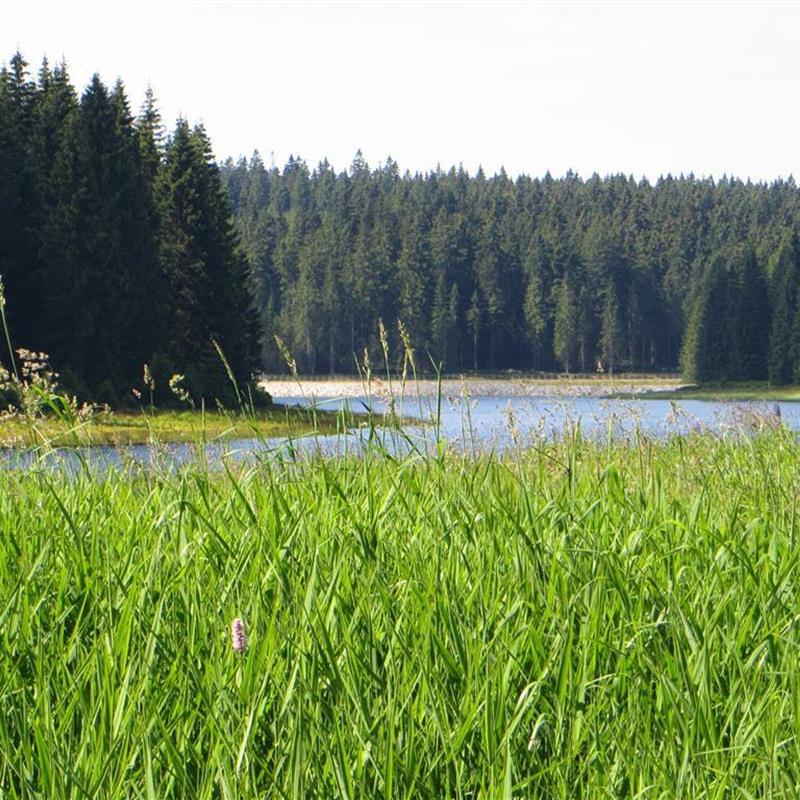  - 2 personer -  - Frühbusser Straße - 08309 - Eibenstock