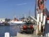 Billede 28