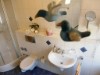 Bild 15