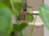 Bild 15