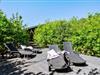 Bild 24