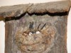 Bild 22