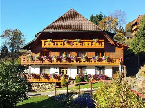 Holiday apartment - 2 persons -  - Martin-Heidegger-Weg - 79674 - Todtnauberg