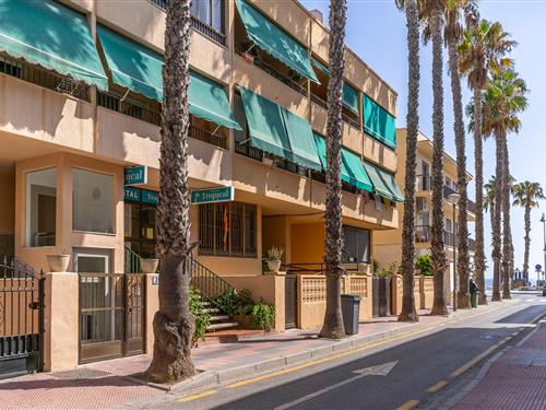 Ferielejlighed - 4 personer -  - Avenida de Europa - Almuñécar - 18690 - Almuñecar