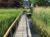 Billede 19