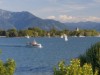 Bild 38