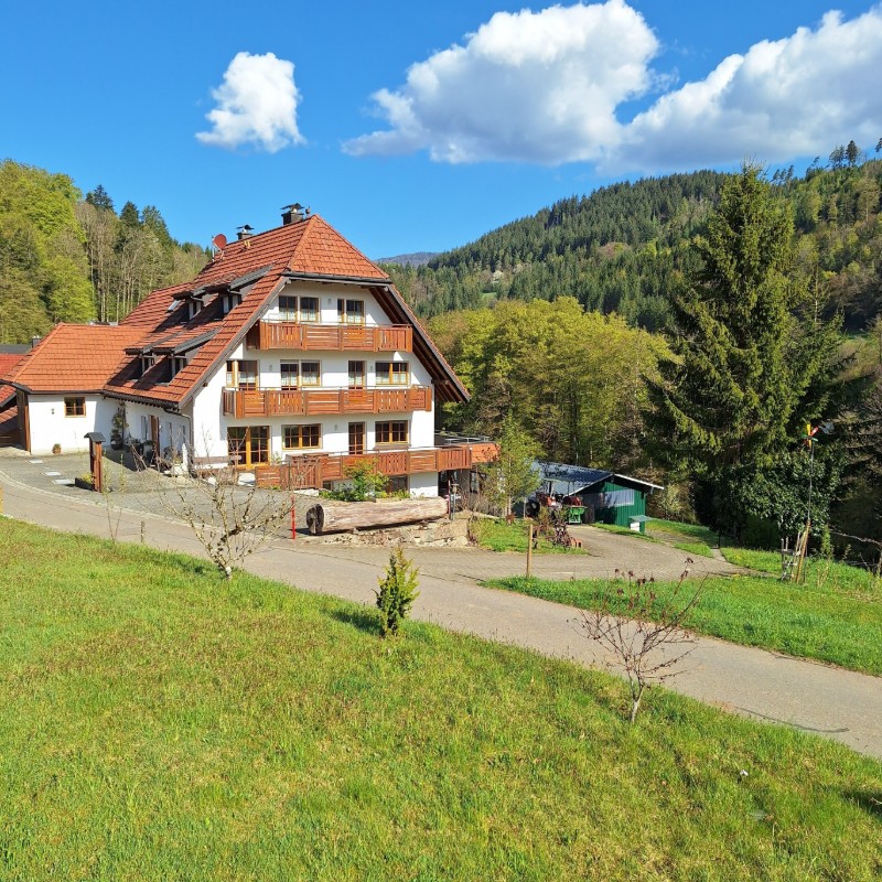Ferielejlighed - 4 personer -  - Schindeln - 79677 - Wembach