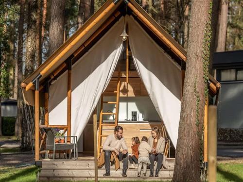 Glamping tent - 6 personen -  - 3690 - Zutendaal