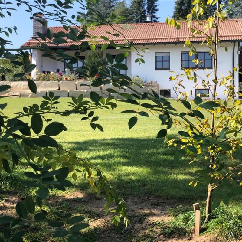 Ferielejlighed - 2 personer -  - Höhenweg - 90518 - Altdorf