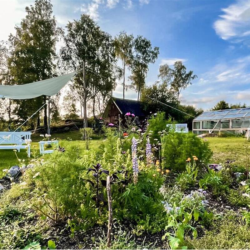 Sommerhus - 6 personer -  - Kimmelsbygd - 343 96 - Hallaryd