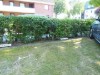 Bild 31