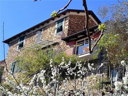 Ferienhaus - 4 Personen -  - Stellanello - 17020