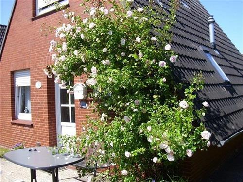 Holiday Home/Apartment - 6 persons -  - In der Jolle - 26553 - Dornum / Dornumersiel