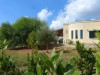 Bild 31 - Ude