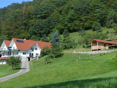 Sommerhus - 6 personer -  - 77728 - Oppenau