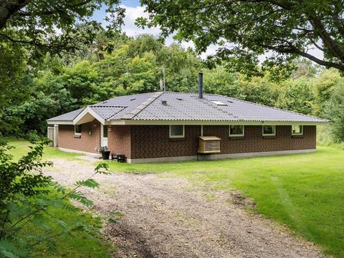 Sommerhus - 8 personer -  - Irisvej - Lodbjerg Hede - 6950 - Ringkøbing