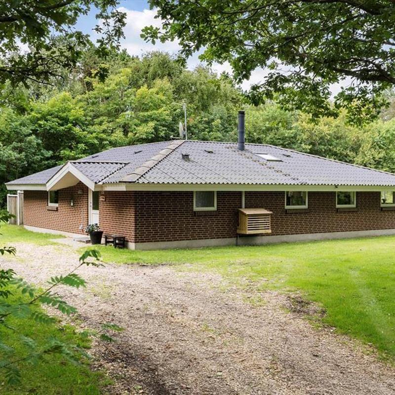 Ferienhaus - 8 Personen -  - Irisvej - Lodbjerg Hede - 6950 - Ringköbing