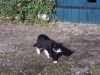 Bild 17