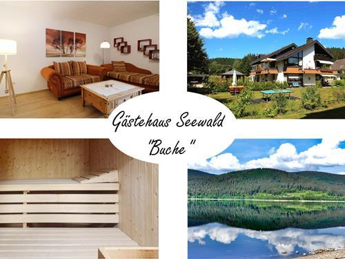 Ferielejlighed - 3 personer -  - Finkenwiese - 79859 - Schluchsee