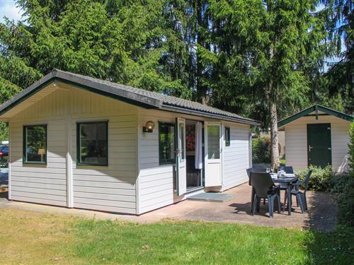 Holiday home - 3 persons -  - Enzerinckweg 12 - - 7251 KA - Vorden