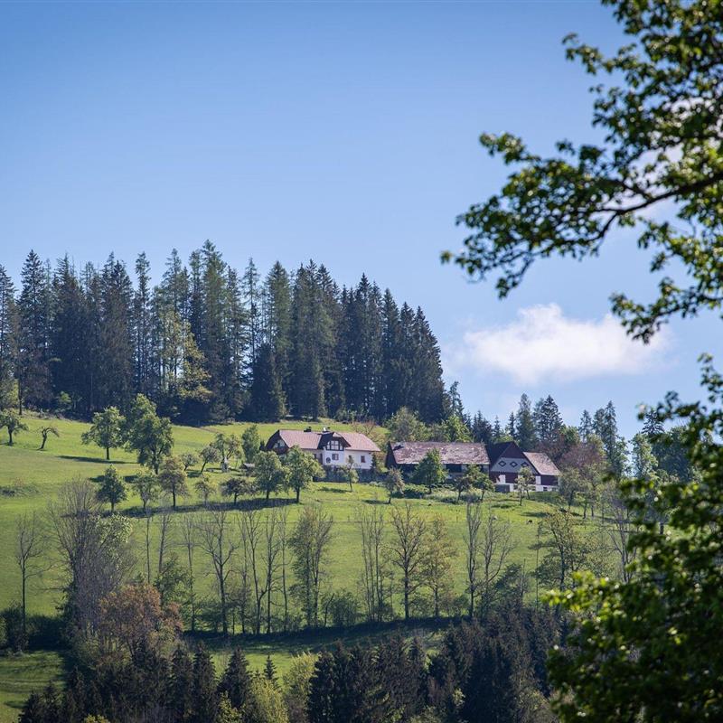 Bondegård - 2 personer -  - Mitterweng - 4582 - Edlbach