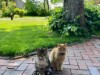 Bilde 17